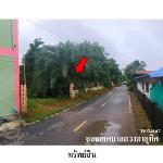 ขายบ้านเดี่ยว  ตำบล แวงน้อย อำเภอ แวงน้อย จังหวัด ขอนแก่น