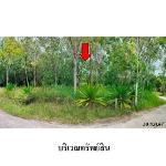 ขายที่ดินว่างเปล่า ตำบล หน้าเมือง อำเภอ เกาะสมุย สุราษฎร์ธานี