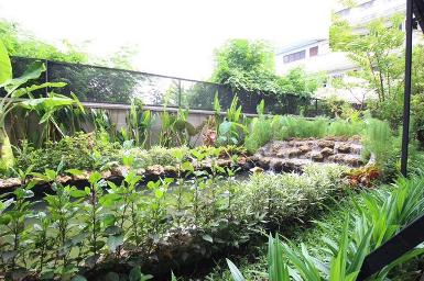 เช่ากิจการศูนย์ดูแลผู้สูงอายุ ติดต่อคุณโบว์ 0837824962