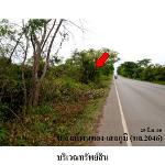 ขายที่ดินว่างเปล่า ต.สระนกแก้ว อ.โพนทอง จ.ร้อยเอ็ด