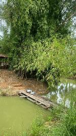 ขายที่ดิน  7 ไร่ 3 งาน 2.6 ตารางวา เจ้าของขายเอง   จ.ราชบุรี