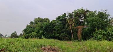 เดือนความรักหาทรัพย์สวย ขายที่ติดแม่น้ำน่าน ต.โคกหม้อ ชุมแสง.นครส