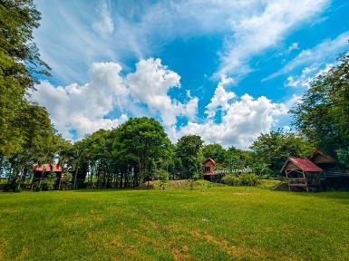 ขายที่ดินทำเลทอง โอนฟรีราคา ต่อรองได้ เจ้าของขายเอง พิษณุโลก