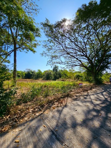 ขายที่ดินสวย วิวธรรมชาติ เนื้อที่ 2 งาน 26 ตารางวา จังหวัดอุดรธาน