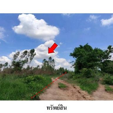 ขายที่ดินว่างเปล่า ต.ชีลอง อำเภอ เมืองชัยภูมิ จังหวัด ชัยภูมิ