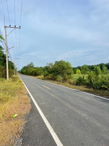 ถูกจัด ที่ดินใกล้กรุงฯ ติดถนนลาดยาง 200ตรว.7แสน฿ คลอง9หนองเสือ ปท