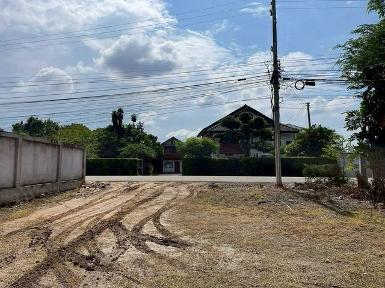 ขายที่ดินบ้านสวน 1.85 ล้าน 323 ตรว. สารภี บรรยากาศร่มรื่น ติดถนน