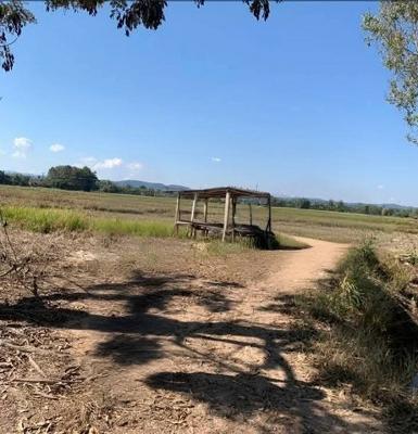 ขายที่ดินเปล่า ราคาถูกใกล้หมู่บ้านสันติธรรม อำเภอพญาเม็งราย เชียง