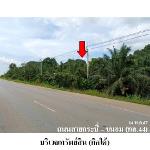 ขายที่ดินว่างเปล่า ต.บางสวรรค์ อ.พระแสง จ.สุราษฎร์ธานี