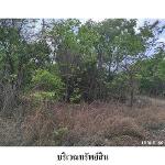 ขายที่ดินว่างเปล่า ถนน มะลิวัลย์ ต.ขัวเรียง อ.ชุมแพ จ.ขอนแก่น