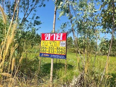ขายที่ดิน 8-0-42 ไร่ ใกล้สวนพระพิฆเนศ ตะเคียนเตี้ย บางละมุง ชล
