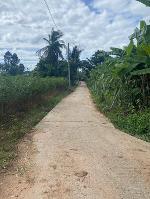 ขายที่ดิน 1 งาน 9 ตารางวา ต.ช่องแมว อ.ลำทะเมนชัย จ.นครราชสีมา 