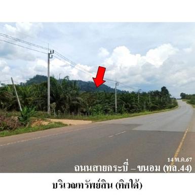 ขายที่ดินว่างเปล่า ต.บางสวรรค์ อ.พระแสง จ.สุราษฎร์ธานี