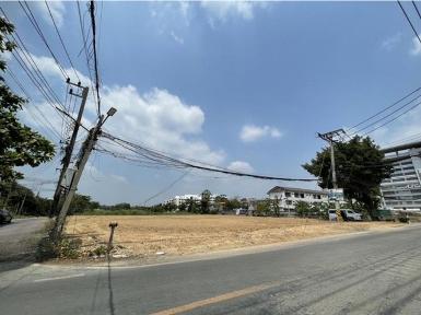 ใกล้วัดไร่ขิง 800 รร.วัดไร่ขิงวิทยา ให้เช่าที่ดินถมแล้วขนาด 2 ไร่