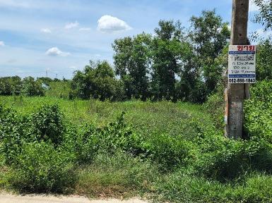 ขายด่วน ที่ดิน 100 ตร.ว @10,000 บาท ใกล้ตลาดลาว 58 ไร่