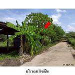 ขายโรงงาน ถ.ท่าโรงช้าง ตำบล มะขามเตี้ย อ.เมือง จ.สุราษฎร์ธานี