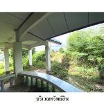 ขายบ้านเดี่ยว ถนนผนังกั้นน้ำชลประทาน อ.เมืองมหาสารคาม จ.มหาสารคาม