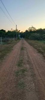 ขายที่ดิน65ว.เริ่ม270,000บ. 3แปลง ต.หนองหนาม อ.เมือง ลำพูน