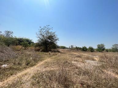 ขายที่ดินว่างเปล่ามือสอง อำเภอเมืองยโสธร ยโสธร