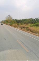 ขายที่ดินคลองกิ่วบ้านบึงชลบุรี บนเนื้อที่  311-2-50 ไร่