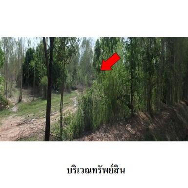 ขายที่ดินว่างเปล่า ต.รอบเมือง อำเภอ เมืองชัยภูมิ จังหวัด ชัยภูมิ