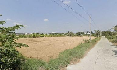 ขายที่ดิน ไร่ขิง อ.สามพราน จ.นครปฐม ผังเมือง สีม่วงเม็ดมะปราง