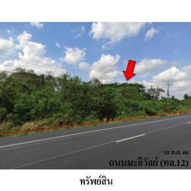 ขายที่ดินว่างเปล่า ถนน มะลิวัลย์ ต.ขัวเรียง อ.ชุมแพ จ.ขอนแก่น