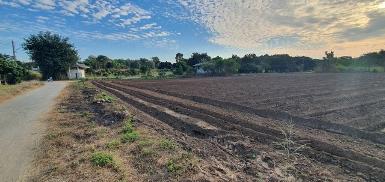 ขายที่ดิน 1-2-4ไร่ 1.51ล. วิวเขา ต.ทุ่งปี้ อ.แม่วาง เชียงใหม่