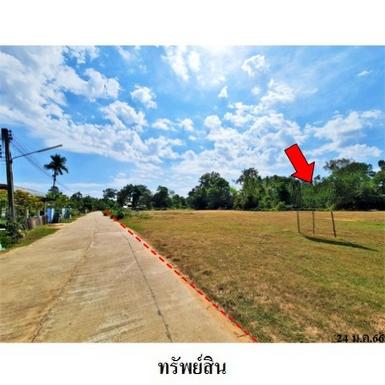 ขายที่ดินว่างเปล่า ต.เดิด อ.เมืองยโสธร จ.ยโสธร