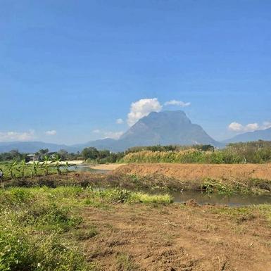 โซนเชียงดาว ขายยกแปลง 2.8 ล้าน/ไร่ 4 ไร่ 2 งาน วิวดอยหลวงเชียงดาว