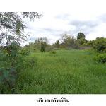 ขายที่ดินว่างเปล่า ถ.เลี่ยงเมืองขอนแก่น ต.เมืองเก่า จ.ขอนแก่น