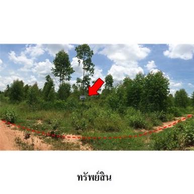 ขายที่ดินว่างเปล่า ถ.สายบ้านโป่งคองเหนือ-บ้านเขว้า อ.เมือง จ.ชัยภ