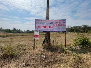 ที่ดิน 3 งาน 78.0 ตรว. ต.ขามทะเลสอ อ.ขามทะเลสอ จ.นครราชสีมา