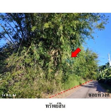 ขายที่ดินว่างเปล่า ต.สามแยก อ.เลิงนกทา จ.ยโสธร