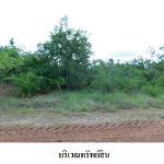 ขายที่ดินว่างเปล่า ตำบล โคกสูง อำเภอ เมืองชัยภูมิ จังหวัด ชัยภูมิ