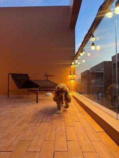 P2006 ขายบ้าน ย่านอารีย์ พร้อม Rooftop ใกล้ BTS อารีย์ ซอยศุภราช