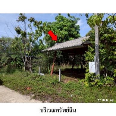 ขายโรงงาน ถ.ท่าโรงช้าง ตำบล มะขามเตี้ย อ.เมือง จ.สุราษฎร์ธานี