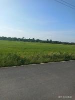 ขายที่ดิน 30 ไร่ติดคลองติดถนน ผังสีเหลืองต.หนองจอก