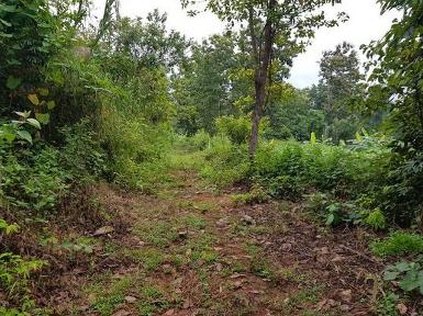 ขายที่ดิน 1-1-63ไร่ 7.5ส. ต.สะเมิงใต้ อ.สะเมิง เชียงใหม่