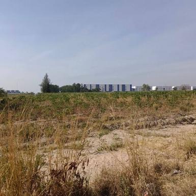 ขายที่ดินระยอง โซนมาบยางพร ปลวกแดง ใกล้นิคมอมตะซิตี้ นอกนิคม