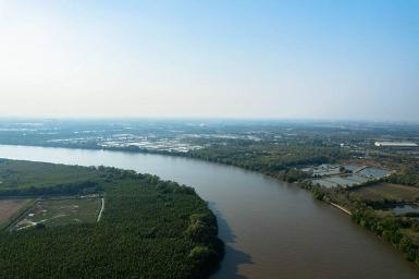 ขายที่ติดแม่น้ำบางปะกงถมแล้ว 346 ตรว. อ.บ้านโพธิ์ จ.ฉะเชิงเทรา