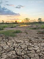 เพียง2.5แสน฿100ตรว.ที่ดินทำสวนเกษตรใกล้กรุงฯ คลอง11 หนองเสือ ปทุม