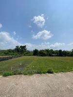 ขายที่ดิน1-1-53ไร่ 13.27ล. วิวดอยสุเทพ ต.หนองควาย หางดง เชียงใหม่