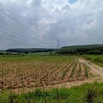 ขายที่ดินเขาคันทรง ศรีราชา แปลงสวย ทำเลดี เยื้องๆนิคมโรจนะ บ่อวิน