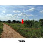 ขายที่ดินว่างเปล่า ต.โคกสูง อ.เมืองชัยภูมิ จังหวัด ชัยภูมิ