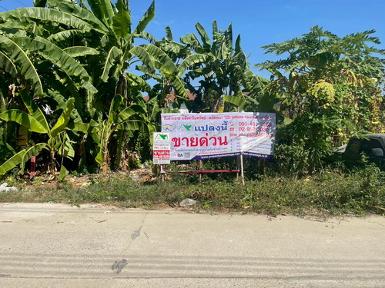 ขายที่ดินเปล่า 119 ตร.ว. ซ.คลองหลวง33 อ.คลองหลวง จ.ปทุมธานี