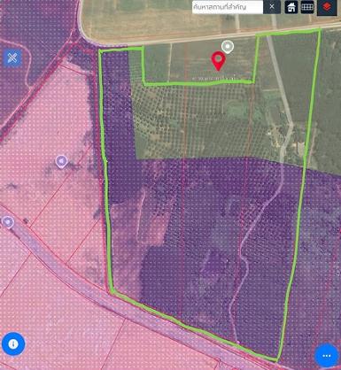 ให้เช่าที่ดินหนองใหญ่ชลบุรี 140 ไร่