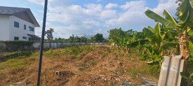 ที่ดินแปลงสวย ติดถนนเส้นหลักบ้านกลาง &ndash; ท่าวังตาล สารภี