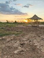 เพียง2.5แสน฿100ตรว.ที่ดินทำสวนเกษตรใกล้กรุงฯ คลอง11 หนองเสือ ปทุม