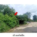 ขายที่ดินว่างเปล่า ต.หนองคู อำเภอ ลำปลายมาศ จังหวัด บุรีรัมย์